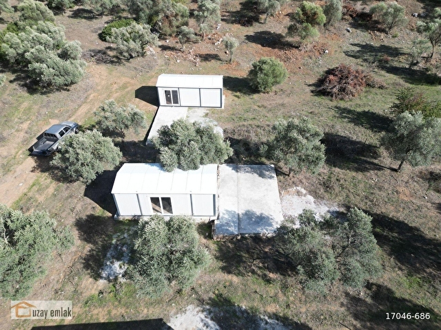 MUĞLA MİLAS GÜRÇAMLARDA SATILIK 830m2 ZEYTİNLİ TARLA - Görsel 12