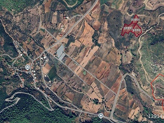 MÜSTAKİL TAPULU DÜZ ZEMİN SUYU MEVCUT ZEYTİN EKİLİ TARLA VASIFLI 17.602M2. - Görsel 15