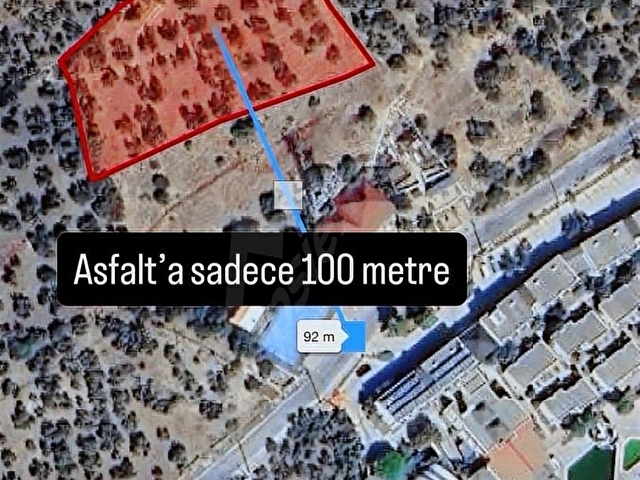 AYVACIK KOZLUDA +UYGUN FİYATA+SAHİLE 200 METRE+ASFALT CEP - Görsel 4