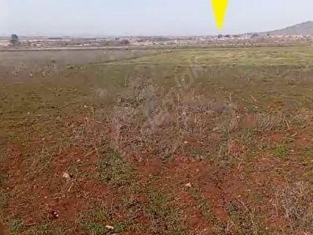 DENİZLİ BEKİLLİDE, 1.168 M², ÇİFT YOL CEPHELİ, YATIRIMLIK ARAZİ - Görsel 3