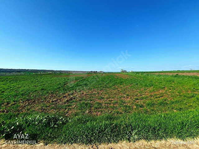 LÜLEBURGAZ ESKİTAŞLI DA İMAR SINIRINDA YATIRIMLIK 3036 m² TARLA - Görsel 14