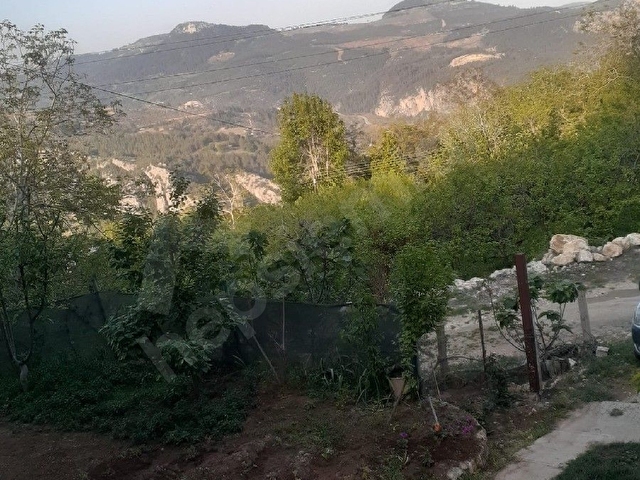 Çamlıyayla daripinari - Görsel 21