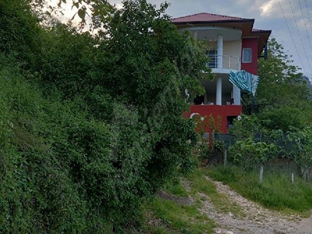 Çamlıyayla daripinari - Görsel 12