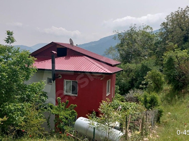 Çamlıyayla daripinari - Görsel 13