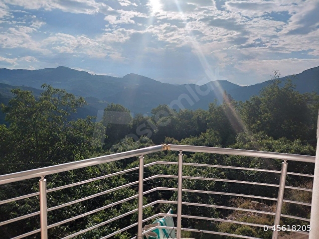 Çamlıyayla daripinari - Görsel 2