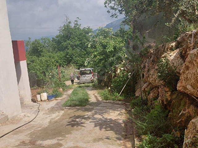 Çamlıyayla daripinari - Görsel 5