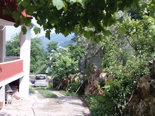 Çamlıyayla daripinari - Görsel 6