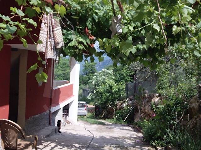 Çamlıyayla daripinari - Görsel 7