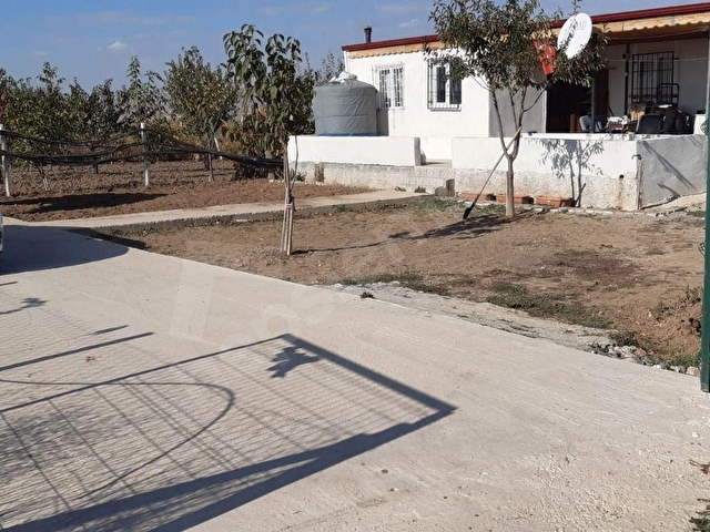 LİDER EMLAKTAN ÇUBUK TAŞPINARDA 900 M2 HOBİ BAHÇESİ - Görsel 26