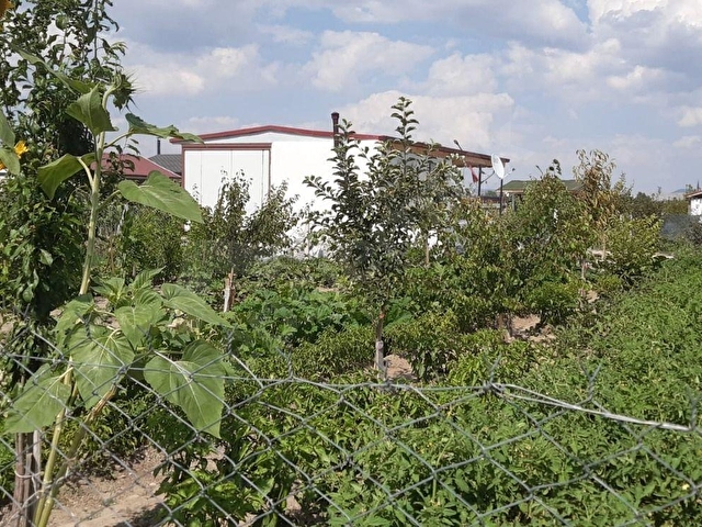 LİDER EMLAKTAN ÇUBUK TAŞPINARDA 900 M2 HOBİ BAHÇESİ - Görsel 27