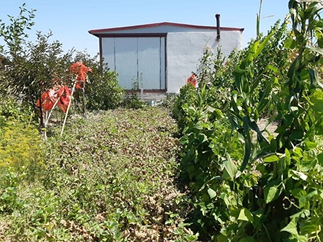LİDER EMLAKTAN ÇUBUK TAŞPINARDA 900 M2 HOBİ BAHÇESİ - Görsel 22