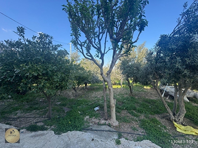 ANTALYA YOLU ÜZERİNDE BAHÇELİ MÜSTAKİL 5 EV - Görsel 13