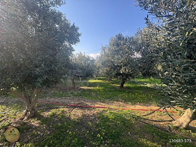 ANTALYA YOLU ÜZERİNDE BAHÇELİ MÜSTAKİL 5 EV - Görsel 5