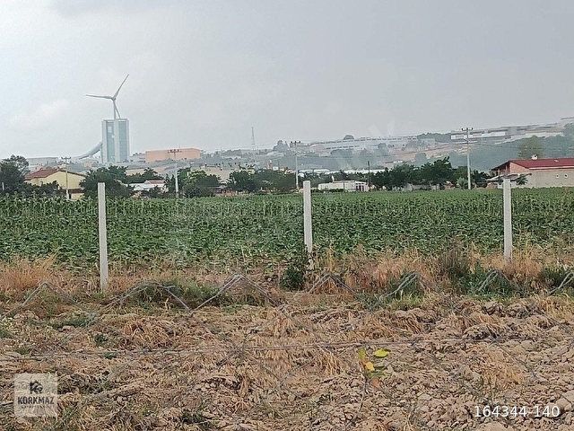 Ergene Yulaflı MahallesindeSatılık Tarla - 8.086 m2 MüstakilTek Tapu Yerleşim Alanı İçinde  - Görsel 9