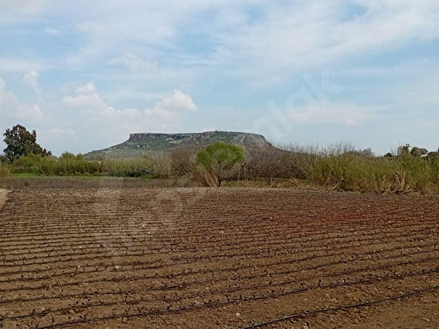 ANTALYA SERİK ŞATIRLI MAHALLESİNDE 2600m SATILIK TARLA - Görsel 4