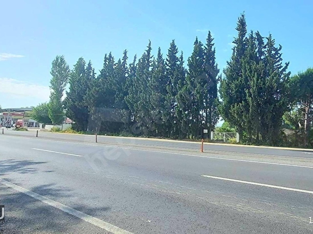AYDIN İZMİR OTOYOLU ÜSTÜNDE YATIRIMA OTURUMA UYGUN ARAZİ - Görsel 21