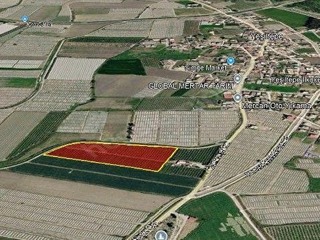 TARSUS YEŞİLTEPEDE BAHŞİŞ YOLU ÜZERİ YÜKSEK VERİMLİ MEYVE BAHÇESİ - Görsel 4
