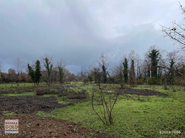 SAKARYA/KARAPÜRÇEKTE KÖY İÇI İMARLI YOLA CEPHELI SATILIK ARSA! - Görsel 8