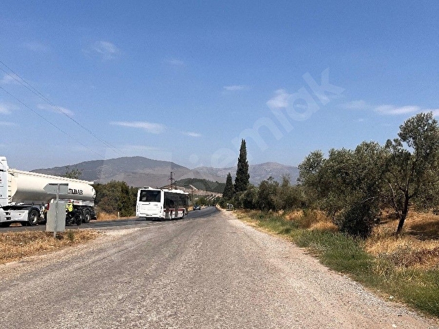 yerimiz Foça ılıpınarda harika bir doğa manzaralı etrafı çam Ağaçlı ailece vakit geçirebileceğiniz - Görsel 8