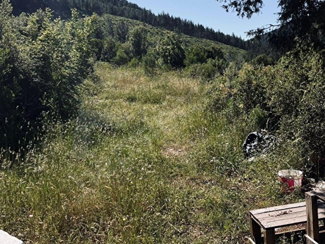 MERKEZ EMLAKTAN SATILIK 8 DÖNÜM BAHÇE - Görsel 20