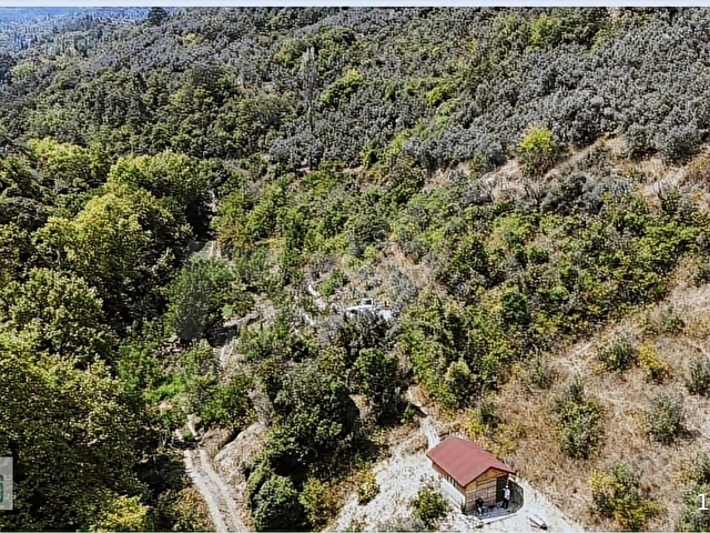 DEREYE VE KADASTROL YOLA CEPHE - Görsel 7