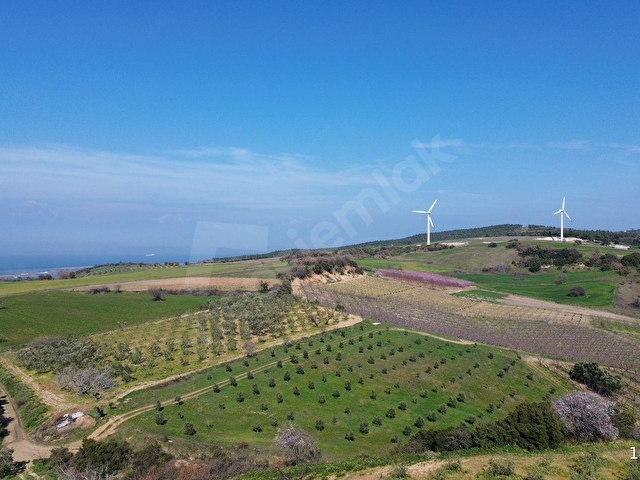 ÇANAKKALE LAPSEKİ ÇARDAK’TA SATILIK TARLA - Görsel 7