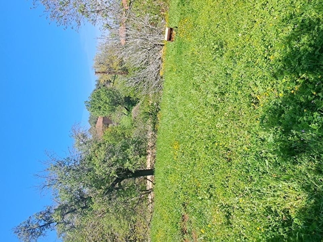ÇANAKKALE BAYRAMİÇ DALOBA KÖYÜNDE 2160 M² SATILIK ARSA - Görsel 14