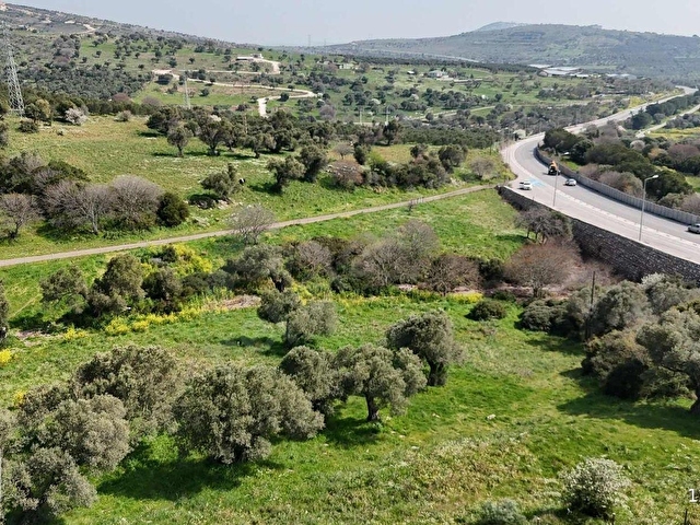 FOÇA FEVZİPAŞADA RUHSATLI ÇİFTLİK + ZEYTİNLİK (1/2 HİSSE) - Görsel 14