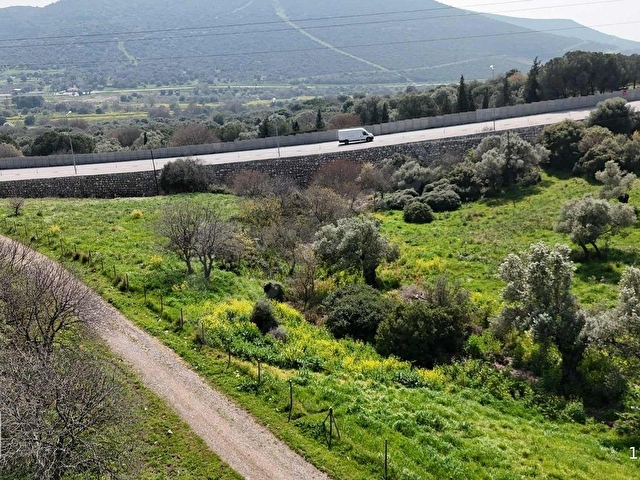 FOÇA FEVZİPAŞADA RUHSATLI ÇİFTLİK + ZEYTİNLİK (1/2 HİSSE) - Görsel 17