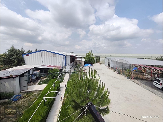 💥💥💥 ŞAHMERANDAN KARGILI MAH. 45.840 M2 SATILIK MUZ SERASI 💥💥💥 - Görsel 5