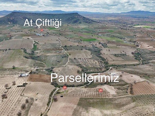 VERAdan AT ÇİFTLİĞİ İLERİSİNDE 2 AYRI SATILIK BAKIMLI ARAZİ