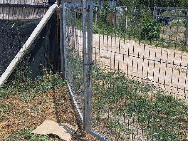 ÇUBUK DA SATILIK HOBİ BAHÇESİ - Görsel 5