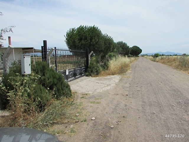 AYVALIK ALTINOVA DA DENİZE YAKIN BAĞLIK