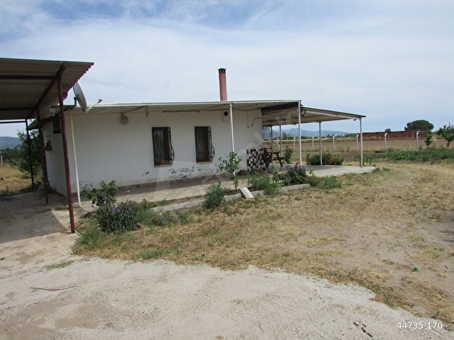 AYVALIK ALTINOVA DA DENİZE YAKIN BAĞLIK - Görsel 4