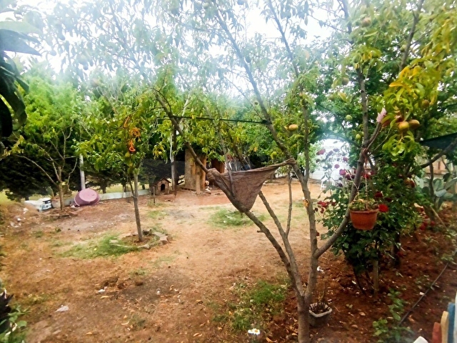 Menderes oğlan anasinda satılık bağ evi - Görsel 3