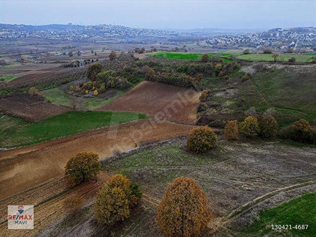 Adapazarı Kayrancıkta 2.858 m² Yatırımlık Tarla | Otoyola Yakın