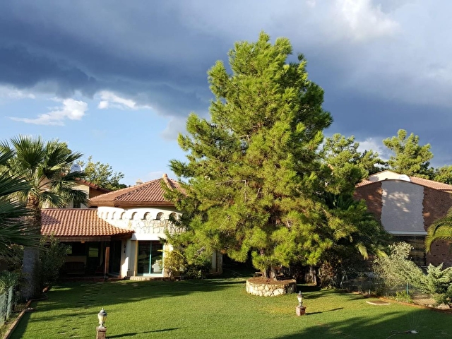 urla zeytinalaninda site icinde genis bahceli havuzlu villa 20858 5505 hurriyet emlak