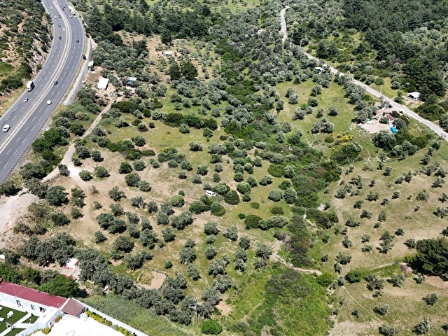 İZMİR BORNOVA ERZENEDE HİSSELİ ARSA NİTELİĞİNDE 154M2 SATILIK ZEYTİNLİK - Görsel 4