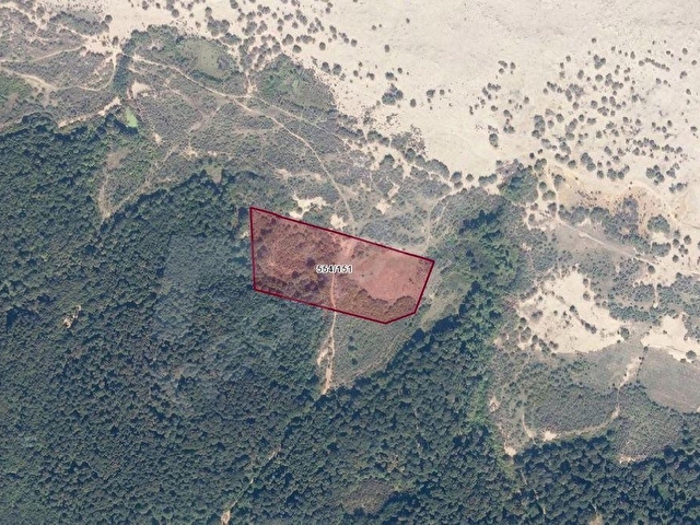 SAKARYA KAYNARCA BAŞOĞLU MAHALLESİ DENİZ KENARI 554 ADA 151 PARSEL 883m2. - Görsel 10