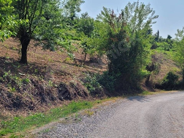 MÜSTAKİL TAPULU SATILIK TARLA - Görsel 3