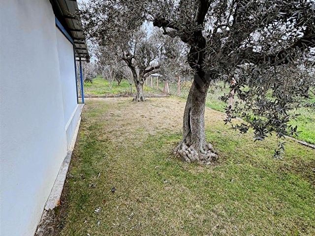FİT GAYRİMENKULDEN İMAR SINIRINDA SATILIK ARAZİ - Görsel 21