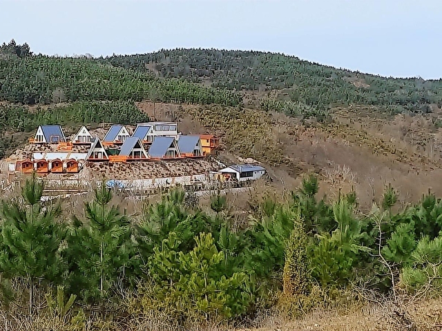 GEBZE MUDARLI KÖYÜ MÜSTAKİL PARSEL 10.174 M2 ORMAN MANZARALI