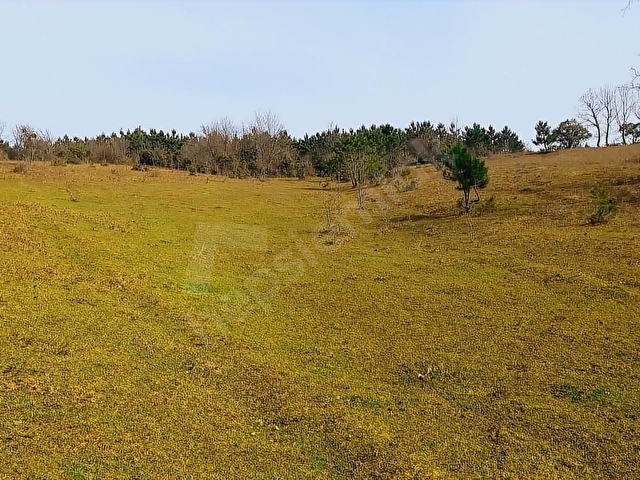 GEBZE MUDARLI KÖYÜ MÜSTAKİL PARSEL 10.174 M2 ORMAN MANZARALI - Görsel 7