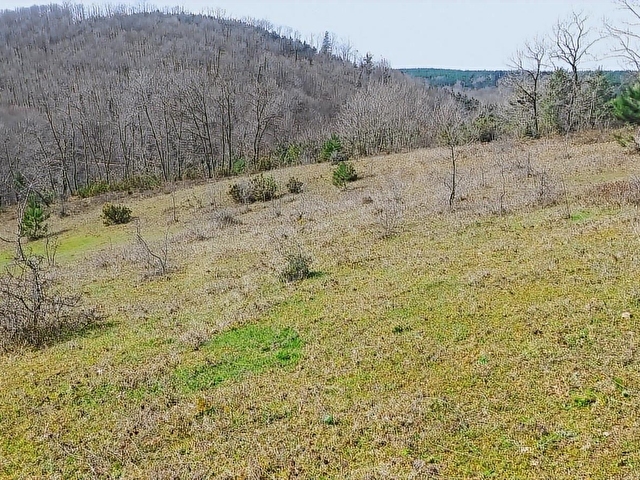 GEBZE MUDARLI KÖYÜ MÜSTAKİL PARSEL 10.174 M2 ORMAN MANZARALI - Görsel 9