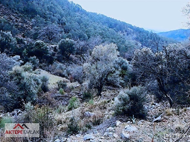 SATILIK nıf mah 6 000 metre rızai taksım yapılmış kupon tarla - Görsel 8