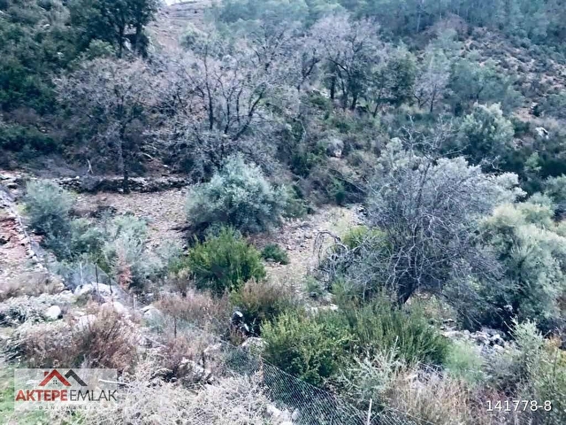 SATILIK nıf mah 6 000 metre rızai taksım yapılmış kupon tarla - Görsel 10