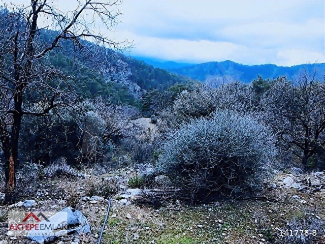 SATILIK nıf mah 6 000 metre rızai taksım yapılmış kupon tarla - Görsel 16