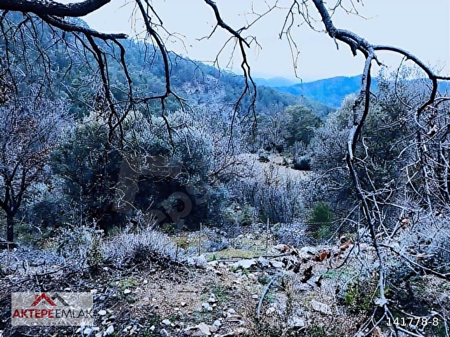 SATILIK nıf mah 6 000 metre rızai taksım yapılmış kupon tarla - Görsel 5