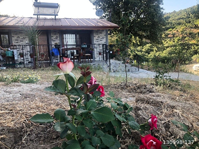 dialog vera san gayrimenkul yukarıkırıklar mahallesinde elektrik ve suyu mevcut satılık zeytinlik - Görsel 9