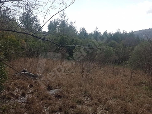 1.600m2 YERLEŞİM İÇERİSİNDE ARAZİ - Görsel 14